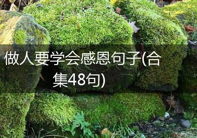 做人要学会感恩句子(合集48句)