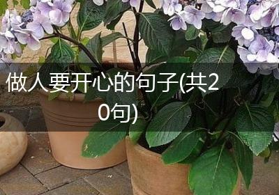做人要开心的句子(共20句)