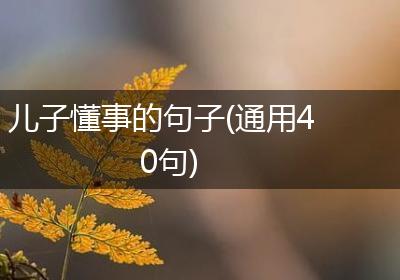 儿子懂事的句子(通用40句)