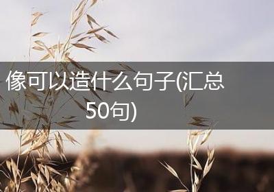 像可以造什么句子(汇总50句)