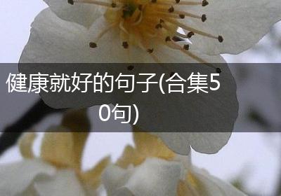健康就好的句子(合集50句)