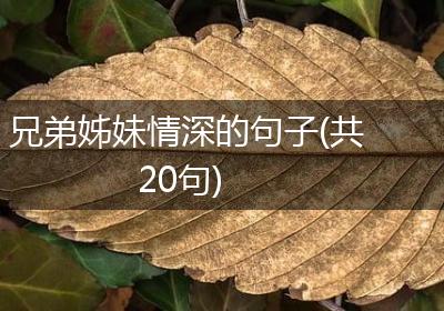 兄弟姊妹情深的句子(共20句)