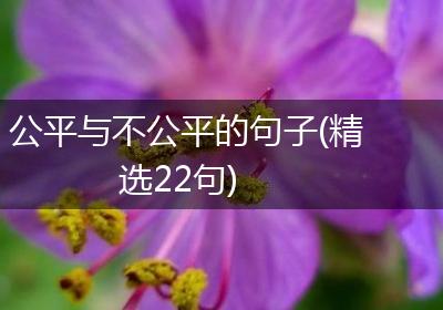 公平与不公平的句子(精选22句)