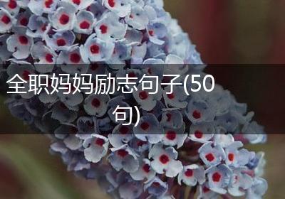 全职妈妈励志句子(50句)