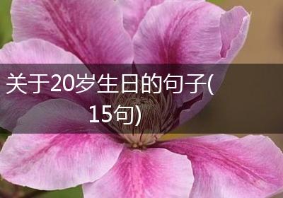 关于20岁生日的句子(15句)