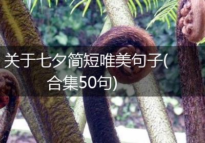 关于七夕简短唯美句子(合集50句)