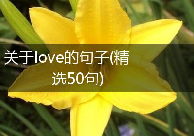 关于love的句子(精选50句)