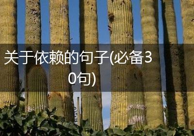 关于依赖的句子(必备30句)
