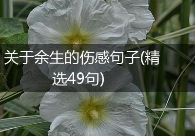 关于余生的伤感句子(精选49句)