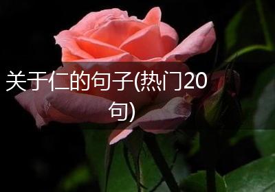 关于仁的句子(热门20句)