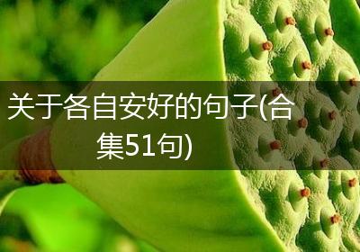 关于各自安好的句子(合集51句)