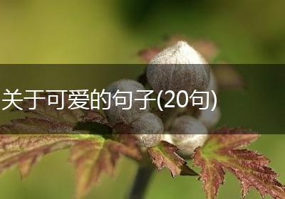 关于可爱的句子(20句)