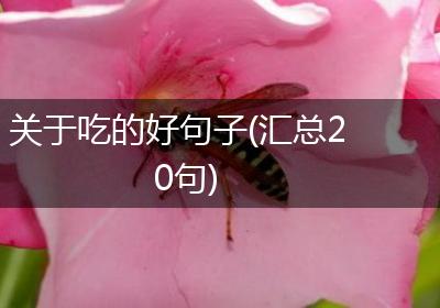 关于吃的好句子(汇总20句)