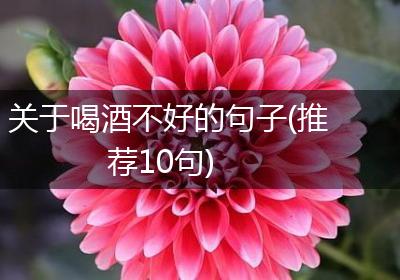 关于喝酒不好的句子(推荐10句)