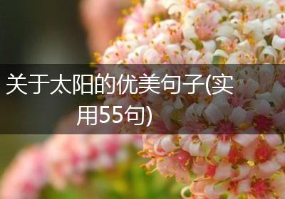 关于太阳的优美句子(实用55句)