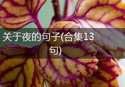 关于夜的句子(合集13句)