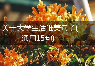 关于大学生活唯美句子(通用15句)