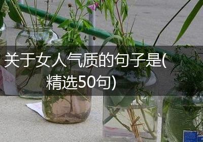 关于女人气质的句子是(精选50句)