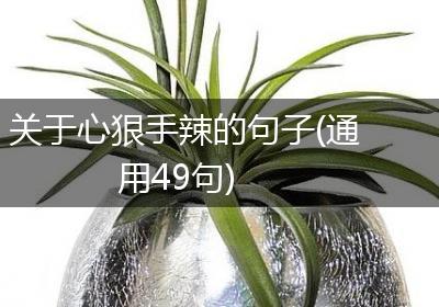 关于心狠手辣的句子(通用49句)
