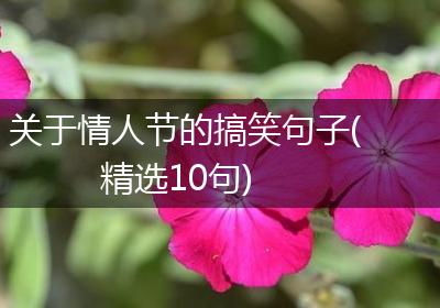 关于情人节的搞笑句子(精选10句)