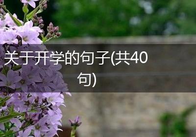 关于开学的句子(共40句)