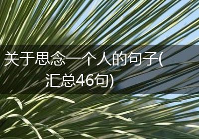 关于思念一个人的句子(汇总46句)