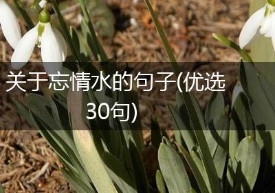 关于忘情水的句子(优选30句)
