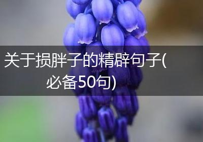 关于损胖子的精辟句子(必备50句)