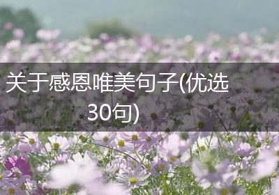关于感恩唯美句子(优选30句)