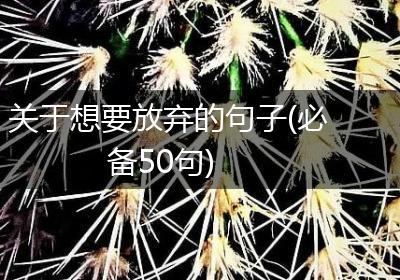 关于想要放弃的句子(必备50句)