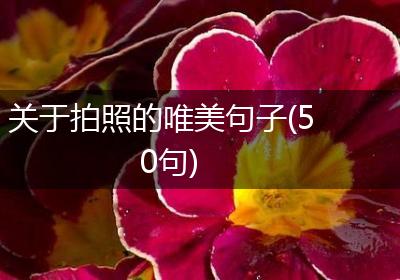 关于拍照的唯美句子(50句)