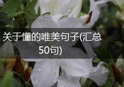 关于懂的唯美句子(汇总50句)