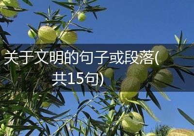 关于文明的句子或段落(共15句)