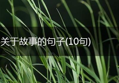 关于故事的句子(10句)
