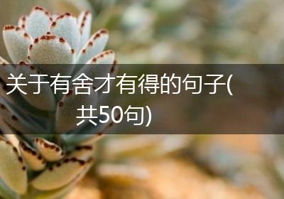 关于有舍才有得的句子(共50句)