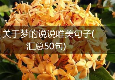 关于梦的说说唯美句子(汇总50句)