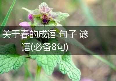 关于春的成语 句子 谚语(必备8句)