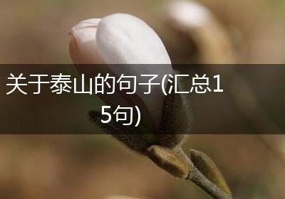 关于泰山的句子(汇总15句)