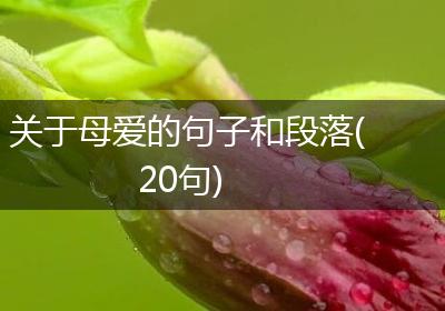 关于母爱的句子和段落(20句)