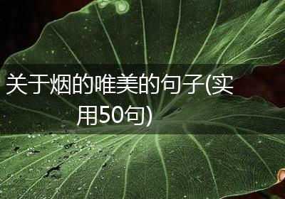 关于烟的唯美的句子(实用50句)