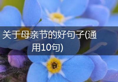 关于母亲节的好句子(通用10句)