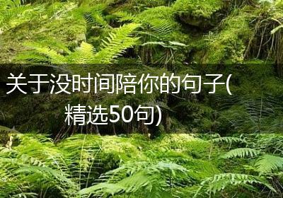 关于没时间陪你的句子(精选50句)