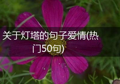 关于灯塔的句子爱情(热门50句)