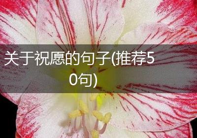 关于祝愿的句子(推荐50句)