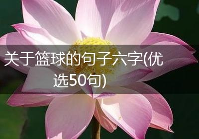 关于篮球的句子六字(优选50句)