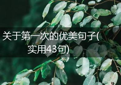 关于第一次的优美句子(实用43句)