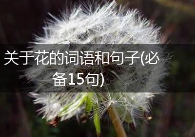 关于花的词语和句子(必备15句)