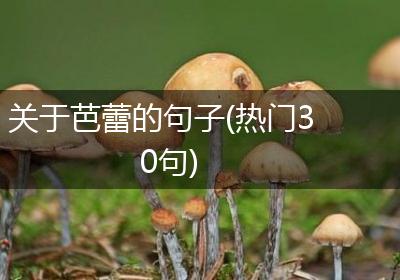关于芭蕾的句子(热门30句)