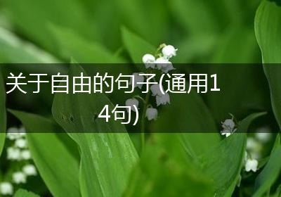 关于自由的句子(通用14句)