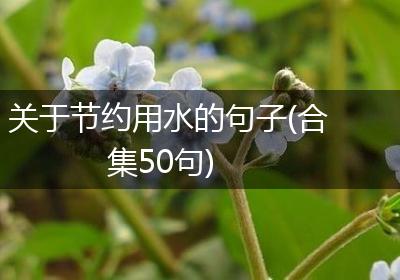 关于节约用水的句子(合集50句)